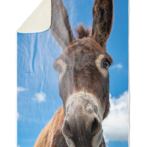 Fleecedeken Ezel, Materiaal: Sherpa, Polyester Afmetingen: 147x97cm