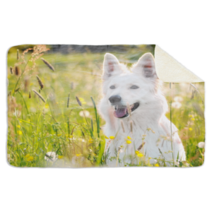 Fleecedeken Witte herder, FD2023218, 96x146cm, Polyester Sherpa