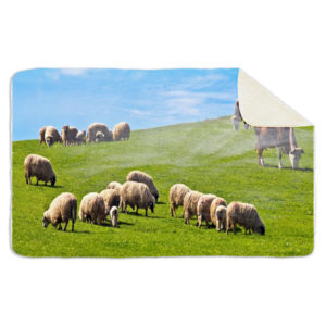 Fleecedeken Schapen, 96x146cm, Polyester Sherpa, FD2023219, deken met print