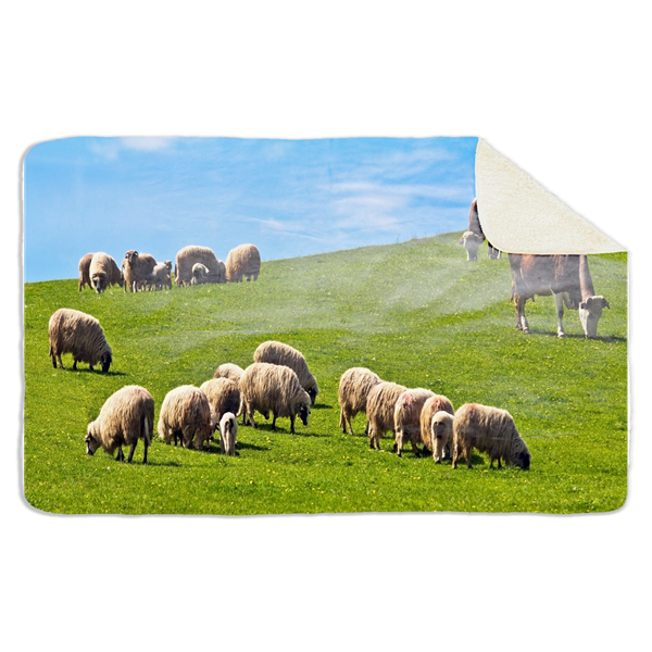 Fleecedeken Schapen, 96x146cm, Polyester Sherpa, FD2023219, deken met print
