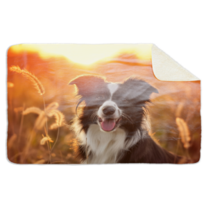 Fleecedeken Border collie, 96x146cm, Polyester Sherpa, deken met print
