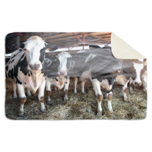 Fleecedeken Koeien in stal, 96x146cm, Polyester Sherpa, deken met print