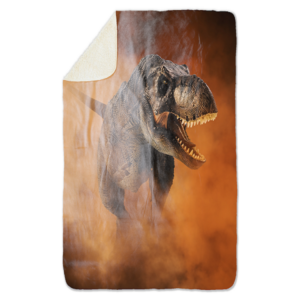 Fleecedeken Dino, FD2023402, 96x146cm, Polyester Sherpa, deken met print