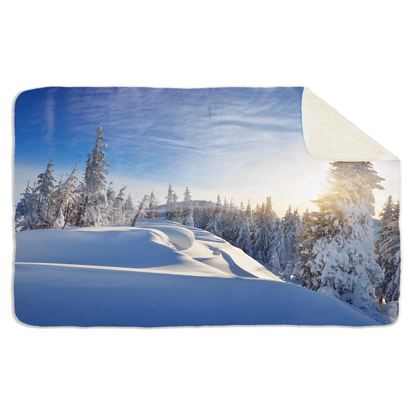 Fleecedeken Winter, FD2023504, Plaid, 96x146cm, Polyester Sherpa