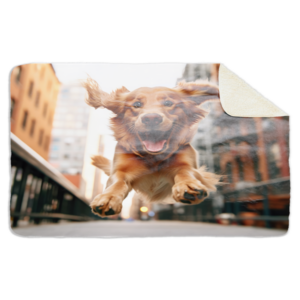 Fleecedeken Golden retriever in stad, 96x146cm, Polyester Sherpa