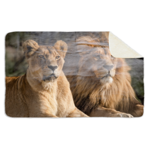 Fleecedeken Leeuwenstel, 96x146cm, Polyester Sherpa