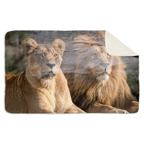 Fleecedeken Leeuwenstel, 96x146cm, Polyester Sherpa