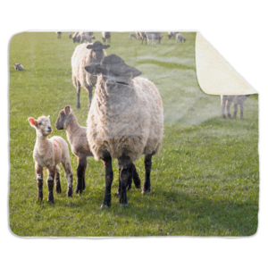 Fleecedeken Schaap met lammetjes, Materiaal: Sherpa, Polyester Afmetingen: 147x97cm
