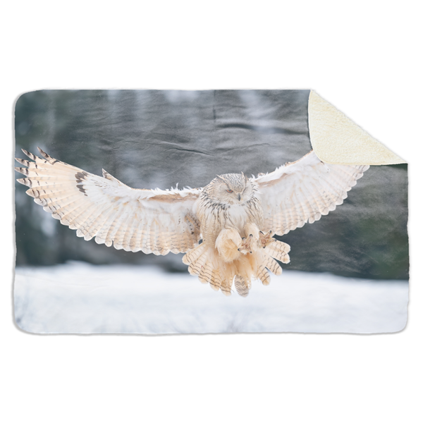 Fleecedeken Witte Uil, 96x146cm, Polyester Sherpa, FD2025023