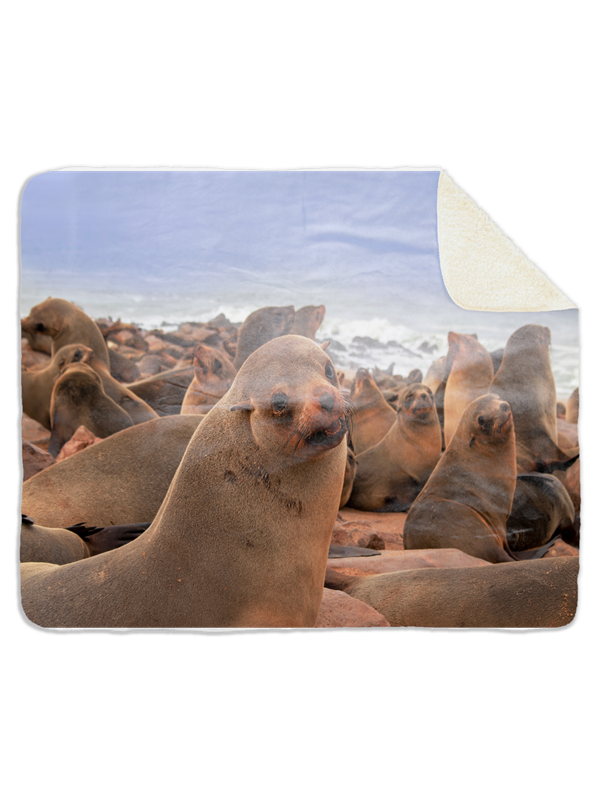 Fleecedeken Zeehonden , 96x146cm, Polyester Sherpa