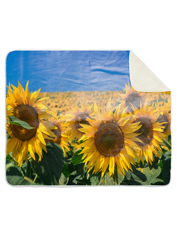 Fleecedeken Zonnebloemen, 96x146cm, Polyester Sherpa, FD2025037