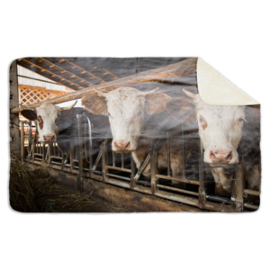 Fleecedeken Koeien op stal, 96x146cm, Polyester Sherpa