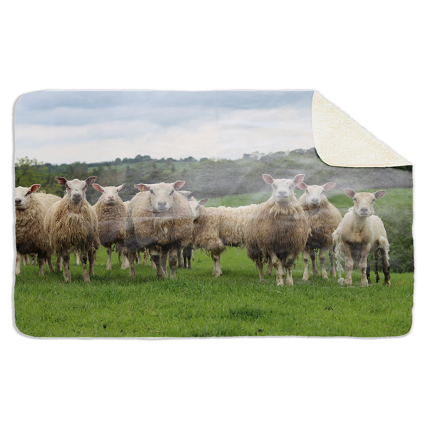 Fleecedeken Kudde schapen, 96x146cm, Polyester Sherpa