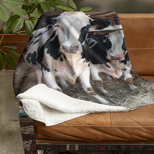 Fleecedeken Koeien in stal, 96x146cm, Polyester Sherpa, deken met print - Afbeelding 2