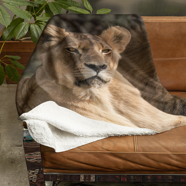 Fleecedeken Leeuwenstel, 96x146cm, Polyester Sherpa - Afbeelding 2