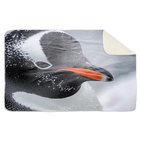 Fleecedeken Pinquin, 96x146cm, Polyester Sherpa, deken met print